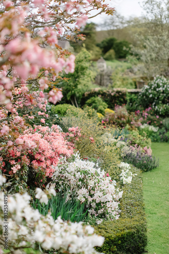 Lush spring garden blooming with pink cherry blossoms and colorful rhododendrons, conveying tranquility and natural beauty