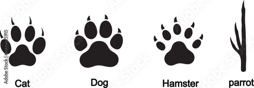 Pet paw print silhouettes. Cat, dog, hamster and bird claw track icons. Solid black animal footprint symbols.