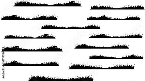 Collection of Black Silhouette Grass and Small Flower Clusters isolated on transparent background