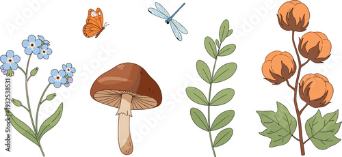 Hand Drawn Forest Nature Elements Set with Mushroom, Wildflowers, Cotton and Insects Vector Illustration