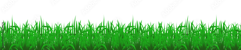 Fototapeta premium Green grass border isolated on transparent background.
