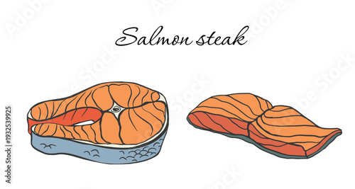 Hand-drawn illustration of raw salmon steak and fillet. Isolated vector drawing of fresh red fish for seafood restaurant menu, market, or culinary blog. Sketch style doodle.