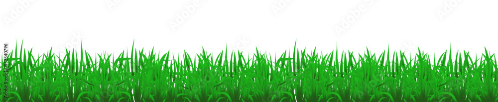 Fototapeta premium Green grass border isolated on transparent background.