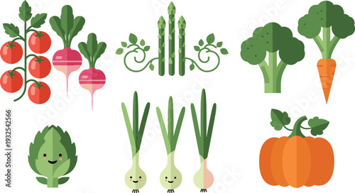 Cute Flat Vegetable Illustration Set with Tomato, Radish, Asparagus, Broccoli, Carrot, Onion and Pumpkin