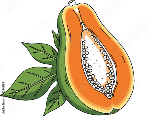 Fresh papaya fruit cartoon vector illustration with sliced tropical papaya, seeds, and green leaves for healthy food, nutrition, packaging, and organic design projects