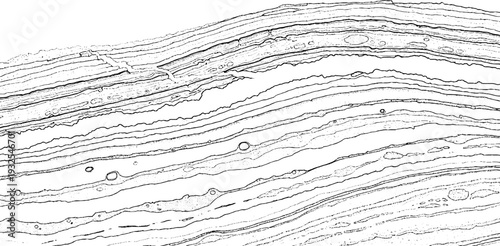 Abstract cross-section illustration of layered rock formations with organic textures in black and white line art.