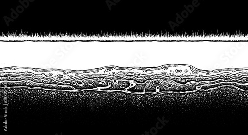 Cross section of earth layers with grass on top, detailed illustration of soil strata and organic matter