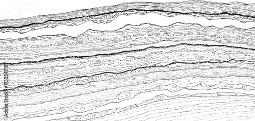 Intricate geological cross-section illustration of layered earth strata and rock formations