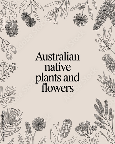 Australian Native Plants and Flowers Botanical Frame – Vintage Floral Line Art Illustration