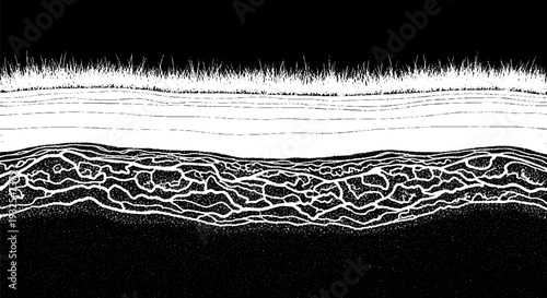 Black and white illustration of layered earth with grass and complex underground formations
