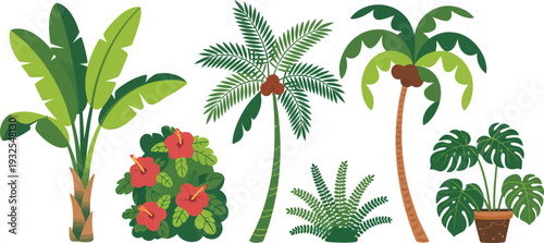Collection of stylized tropical plants and trees, including palm trees and hibiscus flowers, presented in a flat vector illustration.