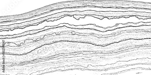 Abstract illustration of flowing lines and organic shapes in black and white, with subtle stippled texture, creating a sense of movement and depth.