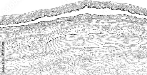 Detailed black and white line drawing of geological strata with varied textures, circular inclusions, and wave-like patterns, suggesting subterranean layers.