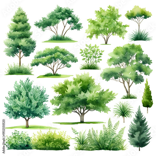 Watercolor illustration of green trees, bushes, shrubs isolated for landscape design plan, vector illustration, botanical elements, outdoor scenery, eco-friendly design, greenery.