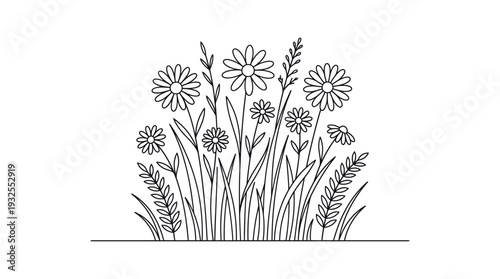 Detailed black and white line drawing of wildflowers and daisies in a meadow, a botanical floral illustration for art, decor, and nature-themed projects.