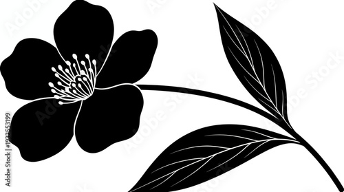 Silhouette of a delicate black flower with a curved stem and elongated leaves, vector botanical illustration