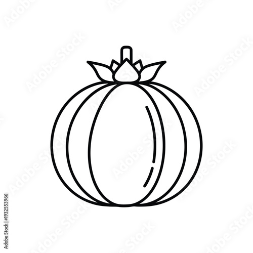 Minimalist Tomato Vegetable Fresh Garden Produce Outline Line Art Vector illustration