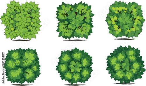 Set of six different green vector bushes and shrubs, isolated on white background for landscape design architecture and game assets