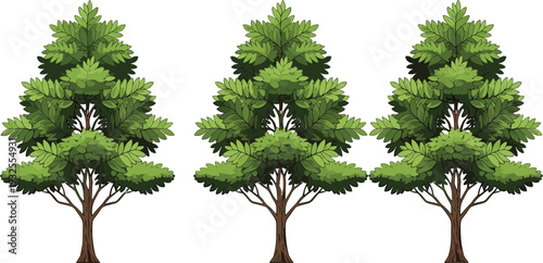 Three stylized green trees with lush foliage isolated on a white background, perfect for nature illustrations, ecological designs, and forests.