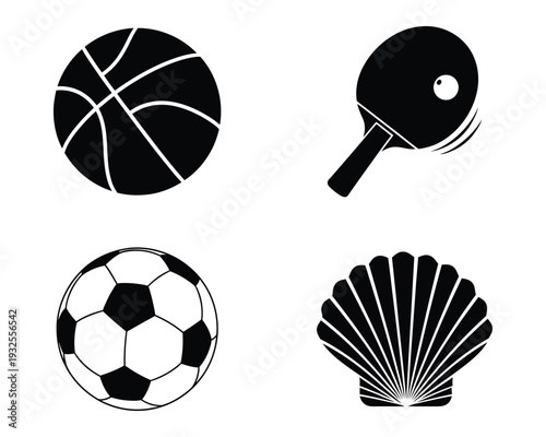 Sports equipment and a seashell illustration