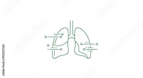 Anatomical Illustration of Human Lungs with Labels.