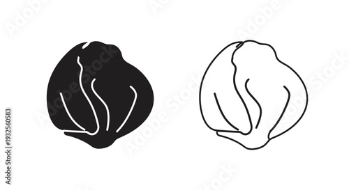 Minimalist cabbage art & vegetable vector Vector