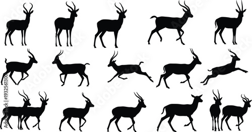 Black Antelope Silhouette Vector Set Featuring African Gazelle Impala And Springbok Animals Isolated On White Background For Nature Wildlife Design