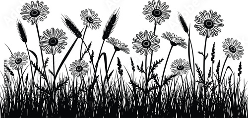 Black Silhouette Vector Set of Chamomile Daisy Flowers and Grass Meadow Isolated on White Background for Nature Border Landscape Illustration