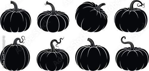 Silhouettes of pumpkins diverse shapes curved stems autumn seasonal decoration Halloween design illustration
