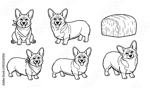 Corgi dog outline vector icon pack – bandana and bread loaf poses