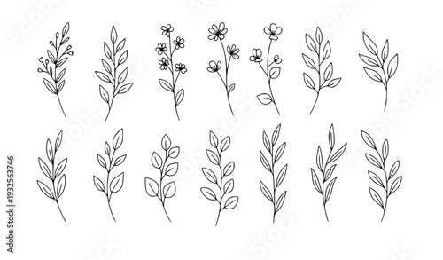 Minimalist Floral Branch Line Art Set for Wedding Logo and Save the Date Invitation