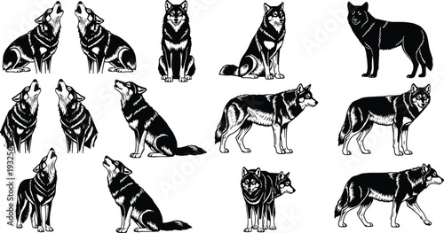 Wild wolf silhouette set, howling and sitting animal collection, forest wildlife icons, cad drawing flat vector illustration, isolated on whit