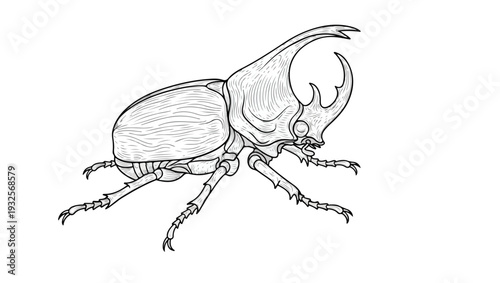 Hercules Beetle Detailed Line Art Illustration