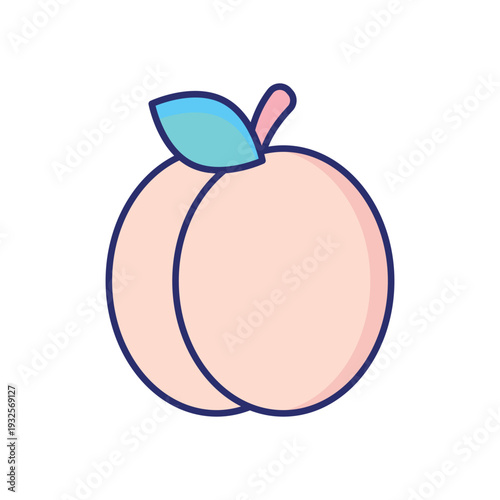Apricot vector icon
