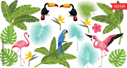 Tropical Jungle Vector Set with Palm Leaves, Toucan, Flamingo, Parrot, Banana Plants, and Exotic Summer Floral Elements