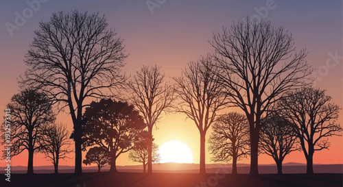 A serene landscape with silhouetted bare trees against a vibrant sunset sky.