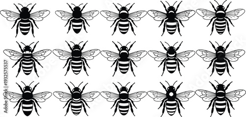Bee silhouette vector set featuring detailed honeybee illustrations with wings spread isolated on white background for apiary, agriculture and nature design