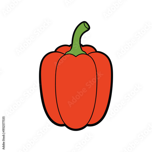 Red bell pepper vector illustration isolated on white background