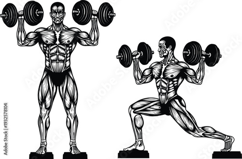 Fitness anatomy illustration, muscular figures with dumbbells, shoulder press, lunge exercise, bodybuilding training, workout poses – flat vector artwork
