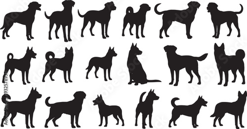 Silhouette dog breeds set in minimalist style isolated on transparent background, illustration