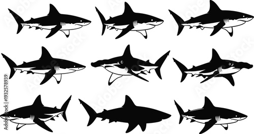 Shark silhouettes vector illustration, marine life icons, hammerhead great white ocean predator design, underwater wildlife concept, sea animal collection - flat vector illustration