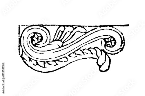 Photos Modillion, ornamental bracket or corbel supporting a cornice, often decorated with scrolls, old vintage illustration, 1897