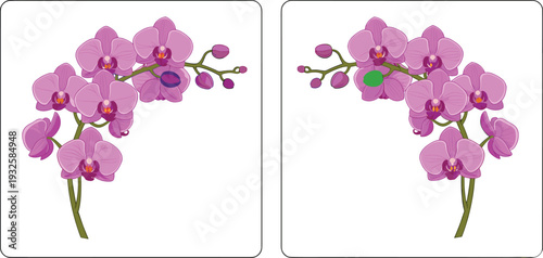 Pink Orchid Blossom Branches with Subtle Differences Highlighted for Spot the Difference Puzzle, Botanical Artwork for Visual Comparison Exercise