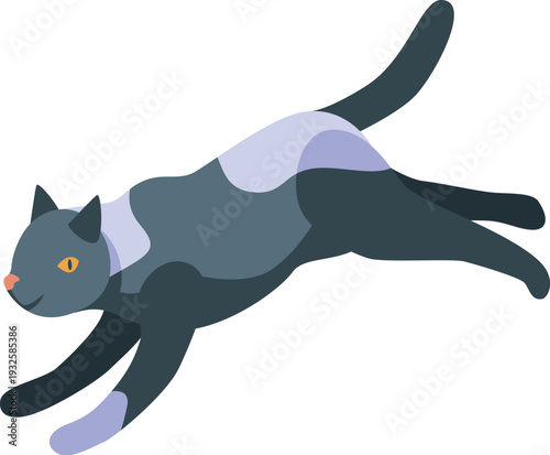Gray cat with light purple spots is gracefully jumping, displaying its agility and speed