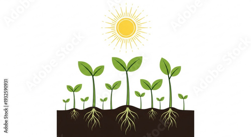 Green seedlings growing in soil under sunny weather conditions symbolizing new life and growth in a natural environment
