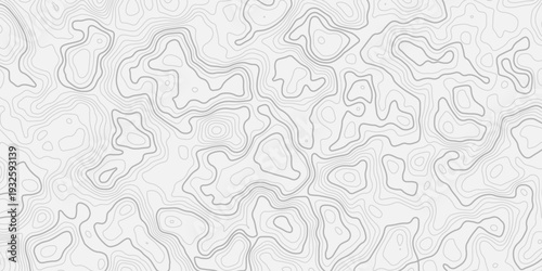 Abstract Terrain Elevation Background with Detailed Landform Contour Lines and Soft Wave Relief Structure
Minimal Topographic Map Texture with Clean Modern Aesthetic Style