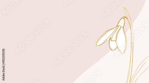 Minimalist illustration of snowdrop flower on soft pink background  