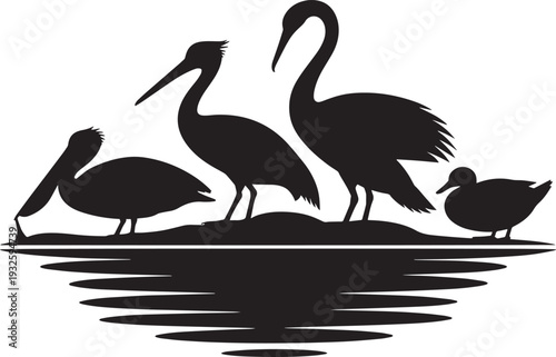 Birds in water silhouette design. pelican and crane species in aquatic environment vector