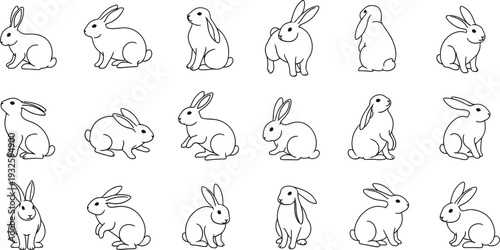 A collection of cute rabbit illustrations in various poses and expressions on a white background