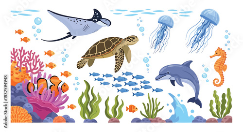 Set of colorful ocean animals vector